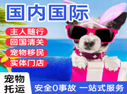 咸阳机场物流国际宠物托运 【国